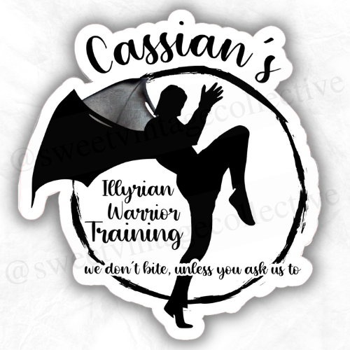 Cassian's  Illyrian Warrior Training